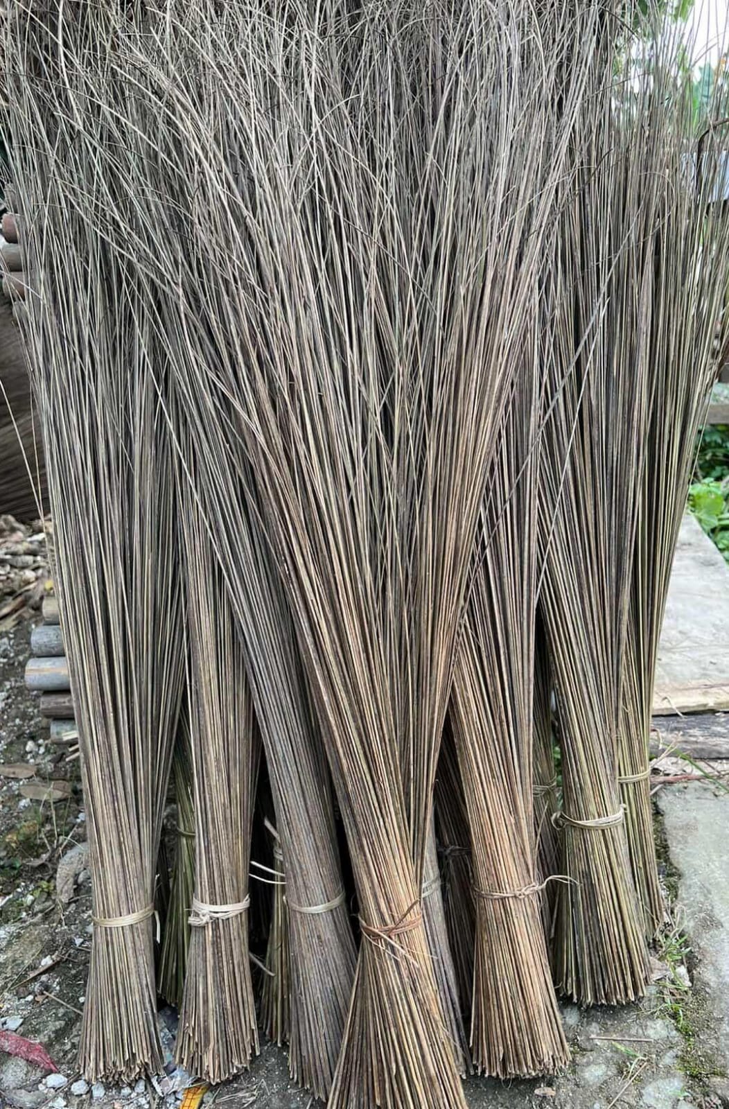 Lidi Sawit / Palm Broom Stick